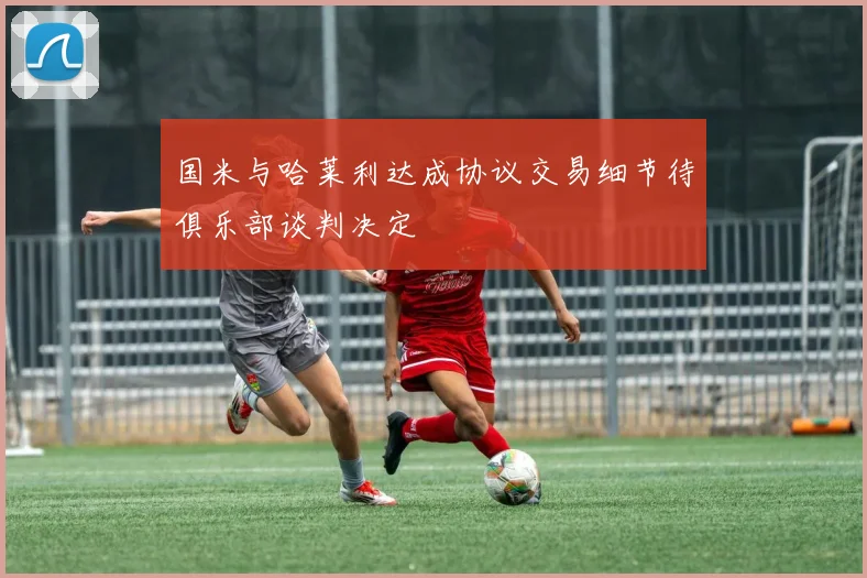 国米与哈莱利达成协议交易细节待俱乐部谈判决定