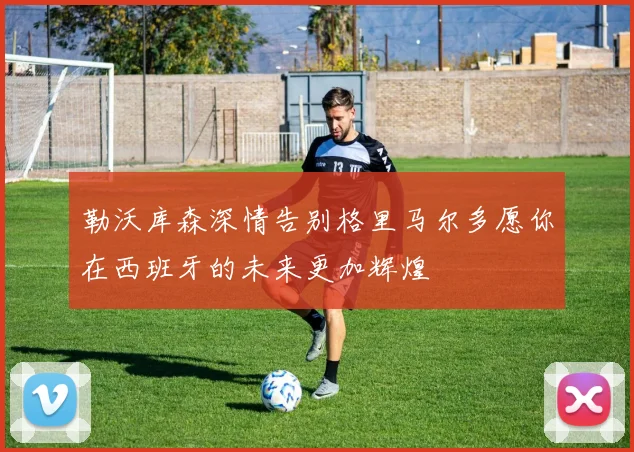 勒沃库森深情告别格里马尔多愿你在西班牙的未来更加辉煌